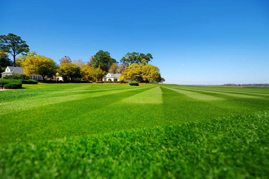 How To Choose The Right Lawn Care Service For Your Yard in Port Orchard WA How To Choose The Right Lawn Care Service For Your Yard in Port Orchard WA