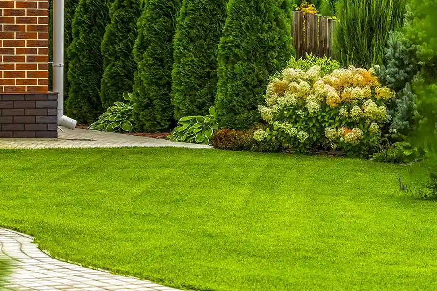 Professional Lawn Care Services Port Orchard WA Professional Lawn Care Services Port Orchard WA
