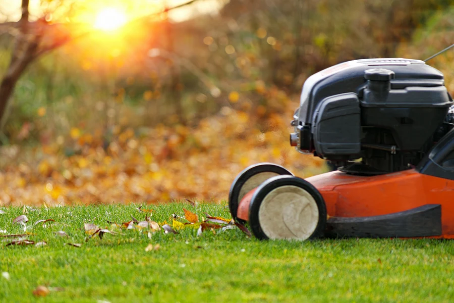 The Role Of Lawn Care Services In Preventing Weed Growth in Port Orchard WA The Role Of Lawn Care Services In Preventing Weed Growth in Port Orchard WA